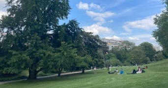 ruimin pet sitter à PARIS 13 75013_3
