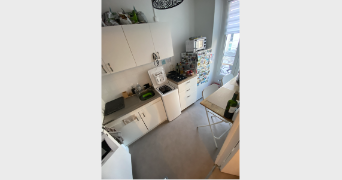 marie cat sitter à PARIS 18 75018_6