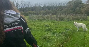 soline pet sitter à Lannion 22300