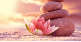 angie pet sitter à LA GRAND CROIX 42320_0