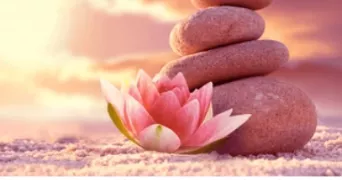 angie pet sitter à LA GRAND CROIX 42320