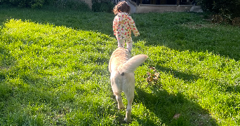 nadia pet sitter à ECROSNES 28320_2