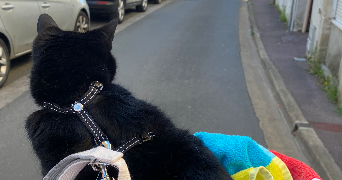 jeanne pet sitter à COURSEULLES SUR MER 14470_2