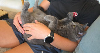 eva pet sitter à NEUVILLE DE POITOU 86170_5