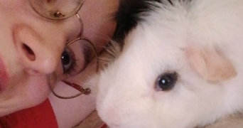 emeline pet sitter à NANCY 54000_2