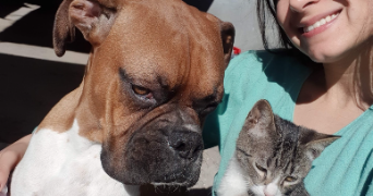 evelin pet sitter à ST OUEN SUR SEINE 93400_2