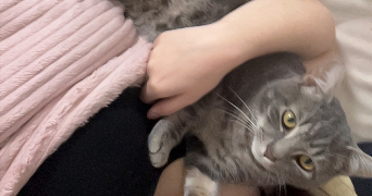 jessyca pet sitter à RENNES 35000_2