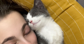 victoria pet sitter à ASNIERES SUR SEINE 92600_1
