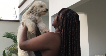 lyce ornella pet sitter à LE HAVRE 76600_2