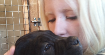 louise pet sitter à CORMEILLES EN PARISIS 95240_0