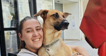 laura pet sitter à ST DENIS D ORQUES 72350_0