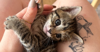 lucie pet sitter à ISSOIRE 63500_1