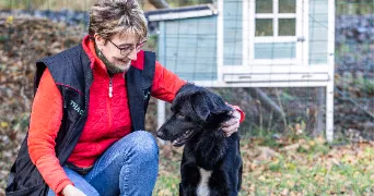 joséphine dog sitter à VOREY 43800