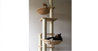 stéphanie cat sitter à CHOISY LE ROI 94600_1