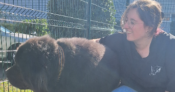 elina pet sitter à LE BOUPERE 85510_1
