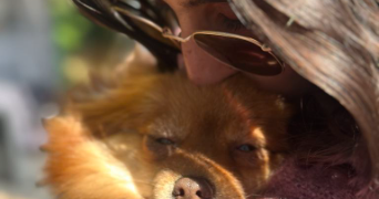 anaïs pet sitter à TOURS 37000_1