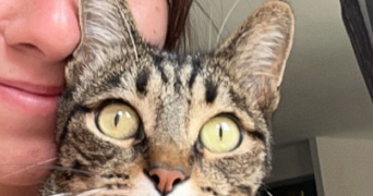 lylou pet sitter à MONDONVILLE 31700_3