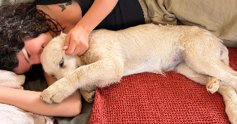 ninon pet sitter à PARIS 15 75015_2