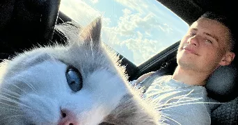 valentin cat sitter à BAPAUME 62450