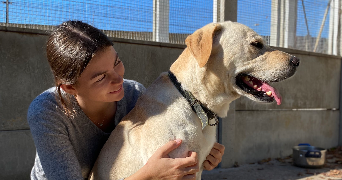 astrid pet sitter à PESSAC 33600_3