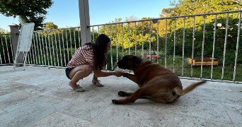 anaïs pet sitter à VENDARGUES 34740_0