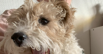 clara pet sitter à CHAMPIGNY SUR MARNE 94500_3