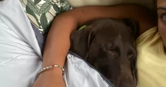 agathe pet sitter à CLERMONT FERRAND 63100