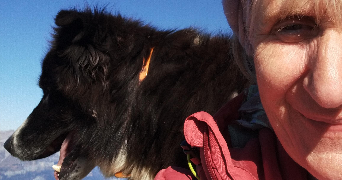 geneviève pet sitter à MORLAIX 29600_1