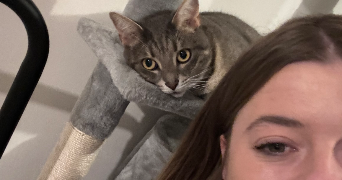 emery pet sitter à MARQUETTE LEZ LILLE 59520_2