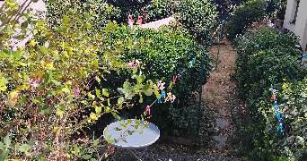 fanny pet sitter à LIVRY GARGAN 93190_1