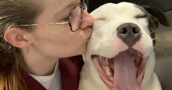 auxane pet sitter à LILLE 59800_1