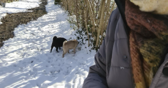 ludivine pet sitter à CAEN 14000_2