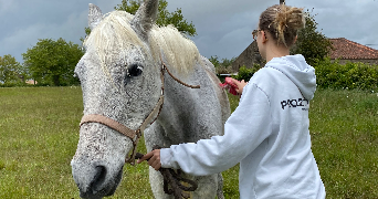 julie pet sitter à ST CYR DES GATS 85410_2