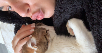 cybelle pet sitter à ST CHAMOND 42400_0