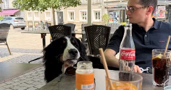 matthias pet sitter à PARIS 04 75004