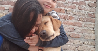 carolina pet sitter à CAMBRAI 59400_2