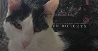 mylene pet sitter à VERNAISON 69390_2
