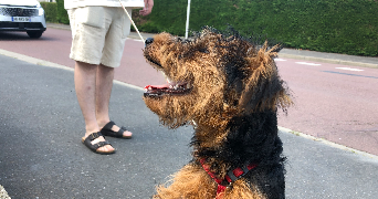 mathilde pet sitter à RENNES 35000_1
