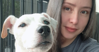 heidi pet sitter à CHEVILLY LARUE 94550_8