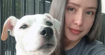 heidi pet sitter à CHEVILLY LARUE 94550