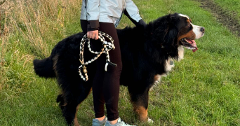 virginie pet sitter à ENNETIERES EN WEPPES 59320_1