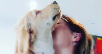 lucille pet sitter à LES MONTS D ANDAINE 61600_3