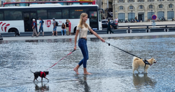 marie-lys pet sitter à MERIGNAC 33700_2