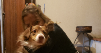 alice pet sitter à TOULOUSE 31300_1