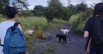 rachelle pet sitter à COURRIERES 62710_5