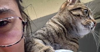 adèle pet sitter à LYON 08 69008_2