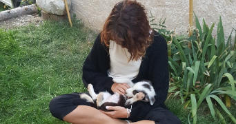 victoria pet sitter à Allex 26400_2