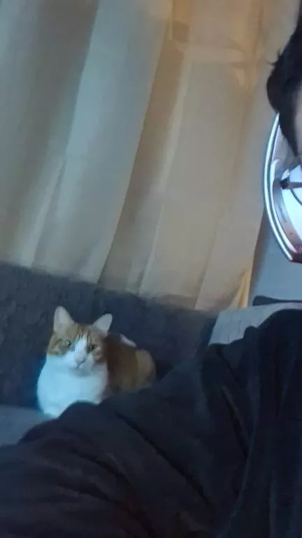 Sara  pet sitter à Drancy 93700