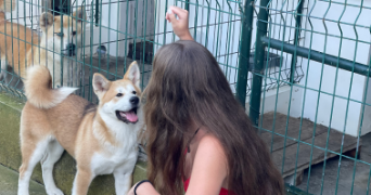 juline pet sitter à BUTRY SUR OISE 95430_1