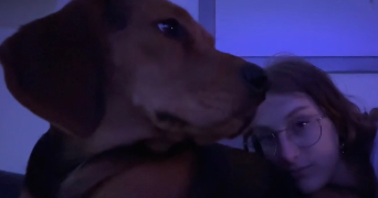 alix pet sitter à LIMOUX 11300_3